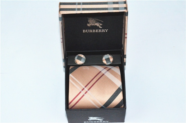 Burberry Ties 31